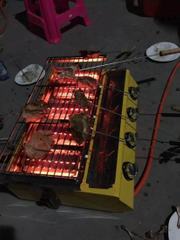 Infrared BBQ Grill with Burner Plate